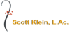 Scott Klein, LAC 75 min visit that includes 45 mins of bodywork & 30 mins Acupuncture 1352