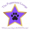 Pupperazzi Lounge	Day Care for your dog three days a week for a month 1946