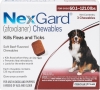 Alpine Vet - Hood River Canine Nexgard Chewable Flea/ Tick Preventative (1 month supply) 319